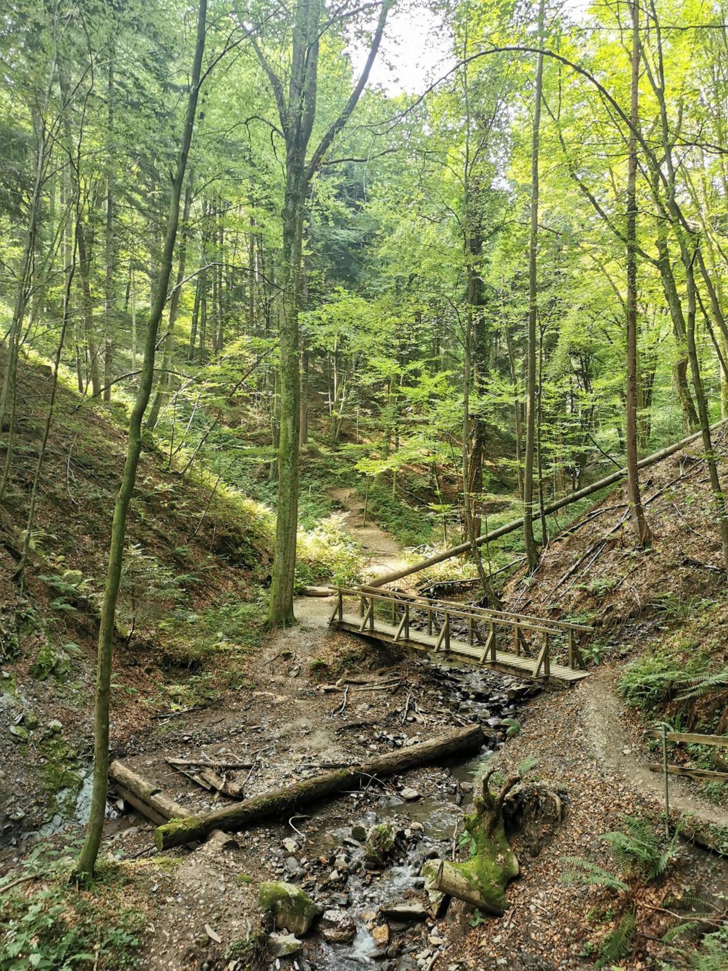 Traumhaftes Ferienhaus Am Lateinberg - 8455 Eibiswald Suedsteiermark ภายนอก รูปภาพ