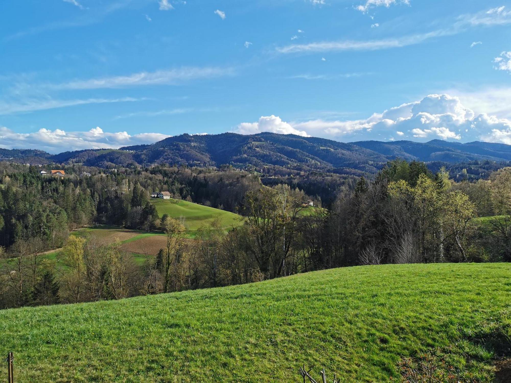 Traumhaftes Ferienhaus Am Lateinberg - 8455 Eibiswald Suedsteiermark ภายนอก รูปภาพ